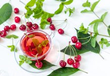 Cinq plantes drainantes pour éliminer naturellement Cinq plantes drainantes pour eliminer naturellement