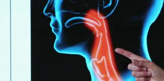 Papillomavirus tous concernés Sante Papillomavirus tous concernes