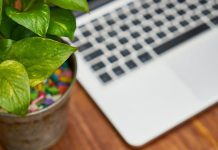 Potagers d'entreprise, cloisons végétales… Les salariés ont aussi besoin de verdure dans les bureaux Potagers d039entreprise cloisons vegetales... Les salaries ont aussi besoin de verdure dans les bureaux