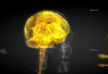 Les étonnants pouvoir du nerf vague Sante Les etonnants pouvoir du nerf vague