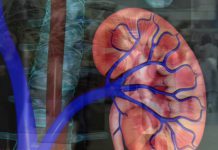 Surveillez vos reins ! Sante Surveillez vos reins