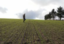 Paroles d’agriculteur: se mettre au bio, une évidence! Paroles-dagriculteur-se-mettre-au-bio-une-evidence