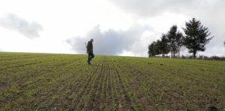 Paroles d’agriculteur: se mettre au bio, une évidence! Paroles-dagriculteur-se-mettre-au-bio-une-evidence