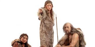 Comment Homo sapiens a-t-il échappé à la consanguinité ? Comment Homo sapiens a t il echappe a la consanguinite