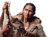 Comment s'habillait Homo sapiens ? Comment s039habillait Homo sapiens