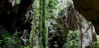 Homo sapiens vivait-il vraiment dans des grottes ? Homo sapiens vivait il vraiment dans des grottes