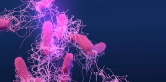 Antibiorésistance : il est possible de les prédire pour les prévenir Antibioresistance il est possible de les predire pour les prevenir