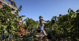 Châteauneuf-du-pape, une star internationale ! Chateauneuf du pape une star internationale
