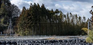 Il y a 10 ans, Fukushima Il y a 10 ans Fukushima