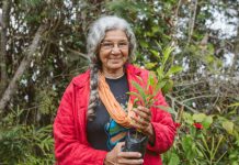 Jane Wynne, l'infatigable Haïtienne qui veut sauver la planète Jane Wynne l039infatigable Haitienne qui veut sauver la planete