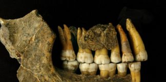 La disparition de l'Homme de Néandertal plus ancienne que l'on croyait La disparition de l039Homme de Neandertal plus ancienne que l039on croyait