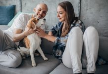 Un animal de compagnie dans le couple, une bonne idée ? Un animal de compagnie dans le couple une bonne idee