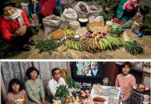 Comment nourrir 10 milliards d'humains ? Comment nourrir 10 milliards d039humains