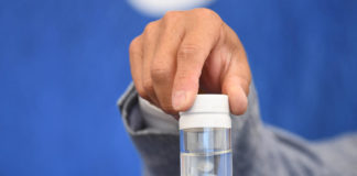 À quoi peut bien penser une “méduse immortelle” ? A-quoi-peut-bien-penser-une-meduse-immortelle