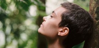 La forêt, un bon placement de diversification La-foret-un-bon-placement-de-diversification