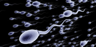 Tout savoir sur le sperme Tout-savoir-sur-le-sperme