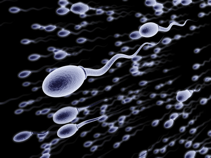 Tout-savoir-sur-le-sperme