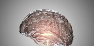 Comment notre cerveau traite-t-il les mathématiques ? Comment-notre-cerveau-traite-t-il-les-mathematiques-