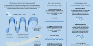Comment se forment les vagues ? Comment-se-forment-les-vagues-