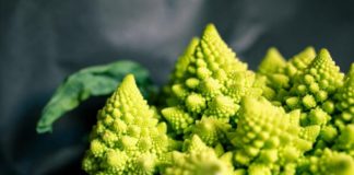 D’où vient la forme du chou-romanesco ? Dou-vient-la-forme-du-chou-romanesco-