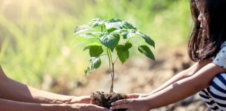 Épargner pour le climat Epargner-pour-le-climat