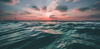 Il ne reste plus que deux ans pour stopper l'exploitation minière en eaux profondes Il-ne-reste-plus-que-deux-ans-pour-stopper-l039exploitation-miniere-en-eaux-profondes