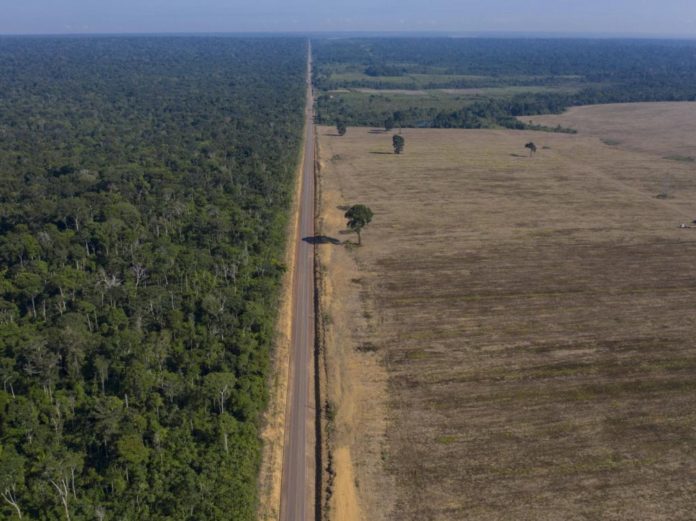 La-deforestation-causee-par-les-cultures-de-soja-au-Bresil-provoque-des-canicules