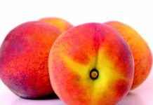 La pêche, le fruit d’été gorgé de soleil La-peche-le-fruit-dete-gorge-de-soleil