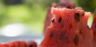 La véritable origine de la pastèque et autres curiosités La-veritable-origine-de-la-pasteque-et-autres-curiosites