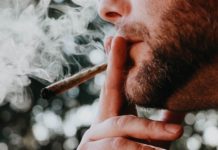 Le cannabis légal n'est pas l'arme anti-opioïdes espérée Le-cannabis-legal-n039est-pas-l039arme-anti-opioides-esperee