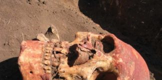 Les Yamnayas : nos ancêtres meurtriers ? Les-Yamnayas-nos-ancetres-meurtriers-