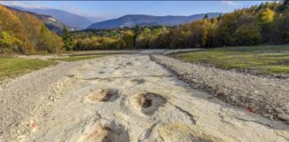 Les trésors scientifiques de la région Bourgogne-Franche-Comté Les-tresors-scientifiques-de-la-region-Bourgogne-Franche-Comte