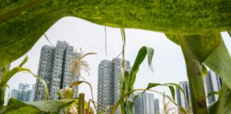 Les villes passent au vert: tour du monde en images Les-villes-passent-au-vert-tour-du-monde-en-images