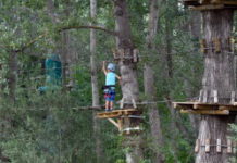 Parcours d'accrobranches : faites votre choix Parcours-d039accrobranches-faites-votre-choix