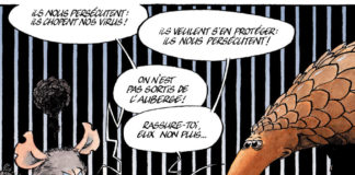 Peu charismatique et accusé des pires maux, le pangolin est maudit Peu-charismatique-et-accuse-des-pires-maux-le-pangolin-est-maudit