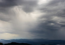 Planter des arbres pour faire tomber la pluie ? Planter-des-arbres-pour-faire-tomber-la-pluie