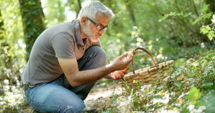 Pouvez-vous cueillir tout ce que vous voulez dans la nature ? Pouvez-vous-cueillir-tout-ce-que-vous-voulez-dans-la-nature-