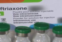 Cocaïne : un antibio pour décrocher ? Sante-Cocaine-un-antibio-pour-decrocher-
