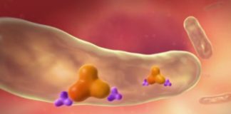 Quand l’intestin déprime Sante-Quand-lintestin-deprime