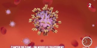Un traitement révolutionnaire contre des cancers du sang Sante-Un-traitement-revolutionnaire-contre-des-cancers-du-sang