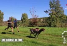 Canicross Sport-Canicross