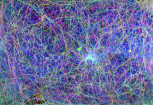 Une harpe aux milliers de cordes Une-harpe-aux-milliers-de-cordes