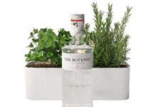 12 gins pour réviser sa botanique 12-gins-pour-reviser-sa-botanique