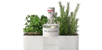 12 gins pour réviser sa botanique 12-gins-pour-reviser-sa-botanique