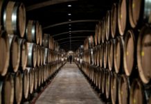 2021, un millésime amer pour la viticulture française 2021-un-millesime-amer-pour-la-viticulture-francaise