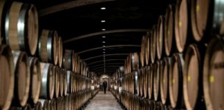 2021, un millésime amer pour la viticulture française 2021-un-millesime-amer-pour-la-viticulture-francaise