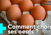 A la chasse aux oeufs et aux étiquettes A-la-chasse-aux-oeufs-et-aux-etiquettes-1-1