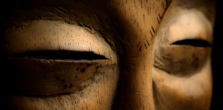 À la recherche du gorille A-la-recherche-du-gorille