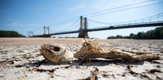 À quel moment la chaleur peut-elle vous tuer? A-quel-moment-la-chaleur-peut-elle-vous-tuer