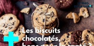 Bien choisir ses biscuits au chocolat Bien-choisir-ses-biscuits-au-chocolat-